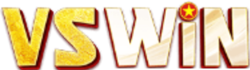 vswin05 Logo